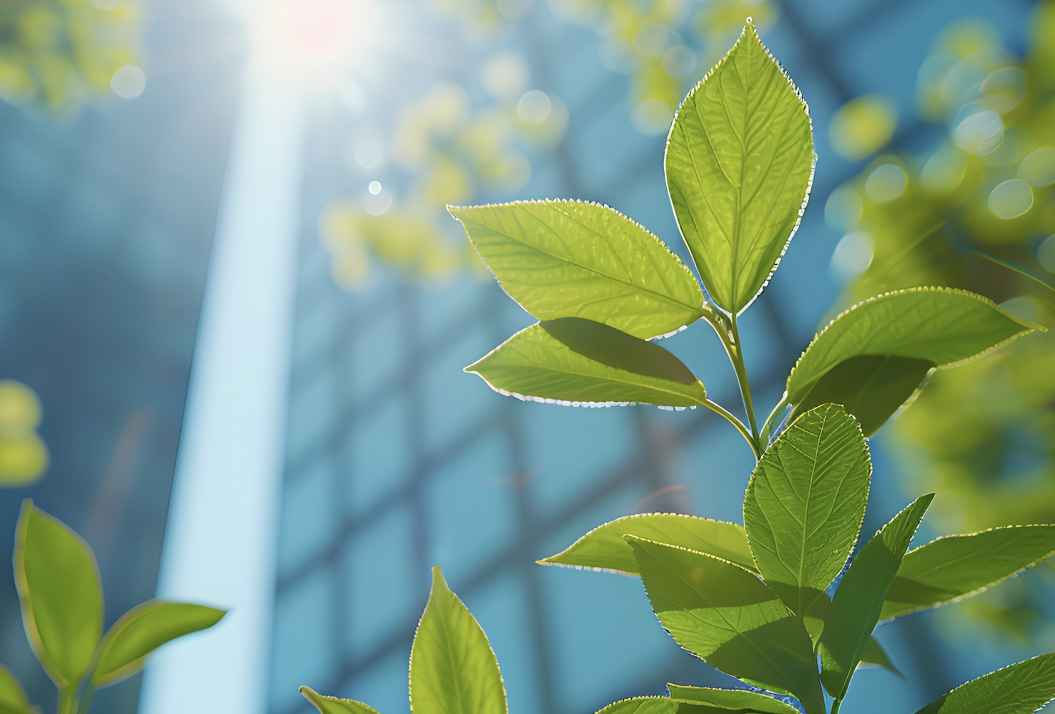 Environmental protection